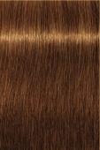 Indola, Краска для волос, перманентная, 8.34, Светлый русый золотистый медный