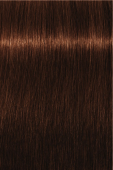 Indola, Краска для волос, перманентная, 5.4, Светлый коричневый медный