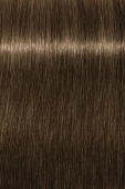 Indola, Краска для волос, перманентная, 7.0, Средний русый натуральный