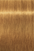 Indola, Краска для волос, перманентная, 8.3, Светлый русый золотистый