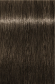 Indola, Краска для волос, перманентная, 6.1, Темный русый пепельный