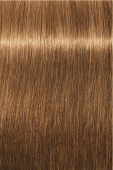 Indola, Краска для волос, перманентная, 8.32, Светлый русый золотистый перламутровый