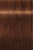 Indola, Краска для волос, перманентная, 6.34, Темный русый золотистый медный