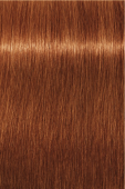 Indola, Краска для волос, перманентная, 8.43, Светлый русый медный золотистый