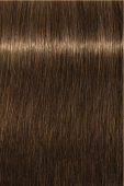 Indola, Краска для волос, перманентная, 6.03, Темный русый натуральный золотистый