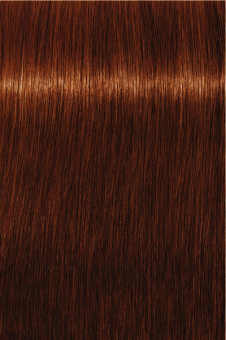 Indola, Краска для волос, перманентная, 6.43, Темный русый медный золотистый