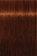 Indola, Краска для волос, перманентная, 6.43, Темный русый медный золотистый