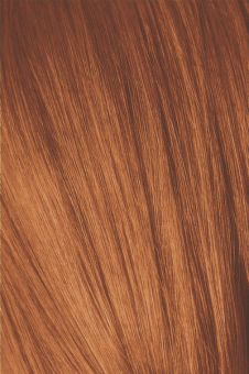 Schwarzkopf Igora Royal 8-77 Краситель для волос Светлый русый медный экстра, 60 мл