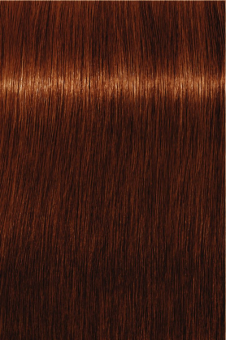 Indola, Краска для волос, перманентная, 5.60, Светлый коричневый красный натуральный