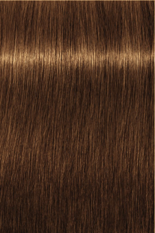 Indola, Краска для волос, перманентная, 6.3, Темный русый золотистый