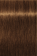 Indola, Краска для волос, перманентная, 6.3, Темный русый золотистый