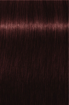 Indola, Краска для волос, перманентная, 5.67, Светлый коричневый красный фиолетовый
