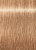 Schwarzkopf Igora Royal Disheveled Nudes 12-481 Специальный блондин бежевый красный сандрэ 60 мл.