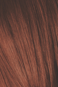 Schwarzkopf Igora Absolutes 6-80 Краситель для волос Темный русый красный натуральный