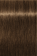 Indola, Краска для волос, перманентная, 6.03, Темный русый натуральный золотистый