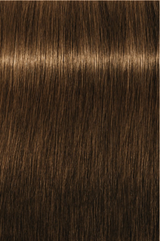 Indola, Краска для волос, перманентная, 5.3, Светлый коричневый золотистый