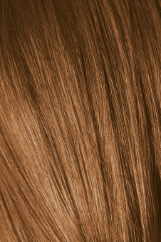 Schwarzkopf Igora Absolutes 7-60 Краситель для волос Средний русый шоколадный натуральный
