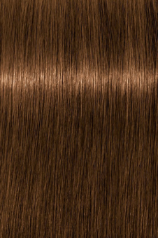 Schwarzkopf Igora Absolutes 8-60 Краситель для волос Светлый русый шоколадный натуральный