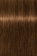 Schwarzkopf Igora Absolutes 8-60 Краситель для волос Светлый русый шоколадный натуральный