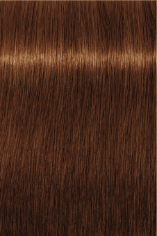 Indola, Краска для волос, перманентная, 6.48, Темный русый медный шоколадный