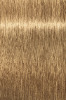 Indola, Краска для волос, перманентная, 8.03, Светлый русый натуральный золотистый
