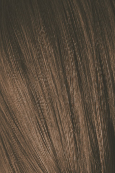 Schwarzkopf Igora Absolutes 6-460 Age Blend Краситель для волос Темный Русый Бежевый Шоколадный