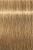 Indola, Краска для волос, перманентная, 8.03, Светлый русый натуральный золотистый