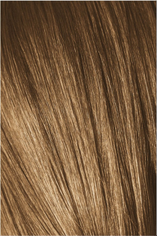 Schwarzkopf Igora Absolutes 7-560 Краситель для волос Средний Русый Золотистый Шоколадный